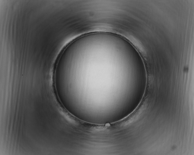 X0000103130846200808291314
