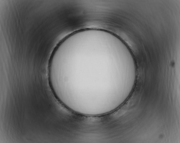 X0000103130848200808291314