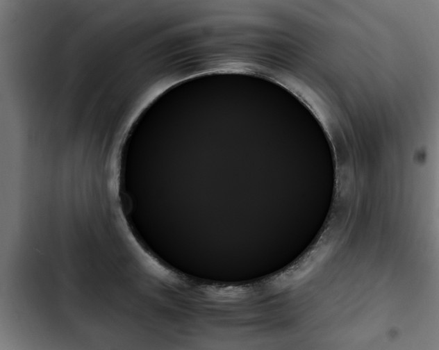 X0000103130851200808291314