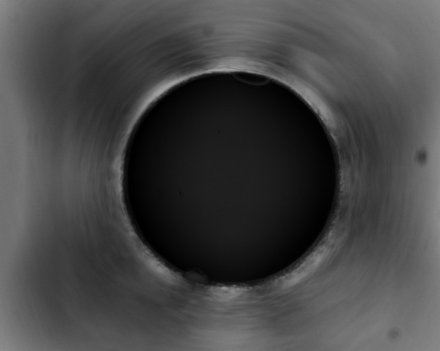 X0000103130854200808291314