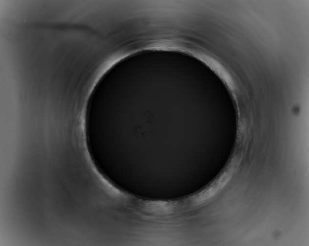 X0000103130855200808291314