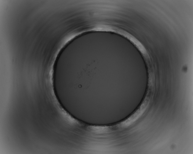 X0000103130856200808291314