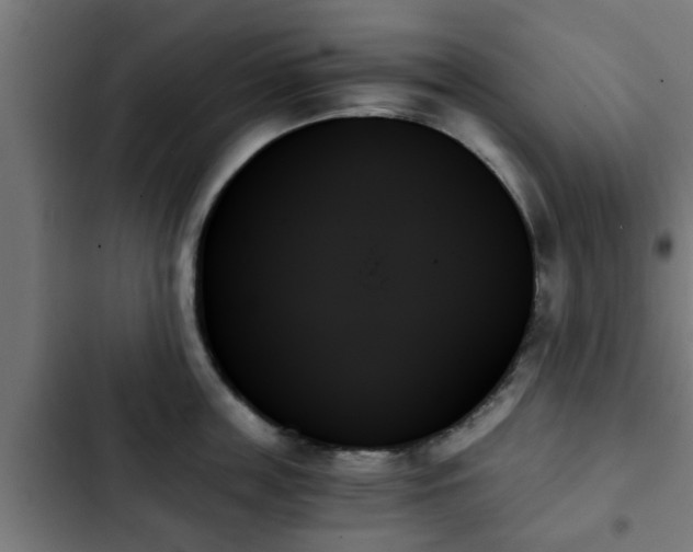 X0000103130859200808291314