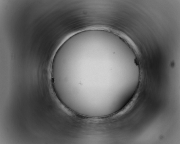 X0000103130860200808291314