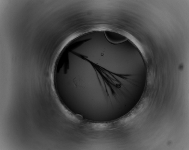 X0000103130861200808291314