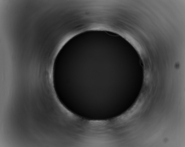X0000103130863200808291314