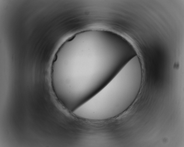 X0000103130864200808291314