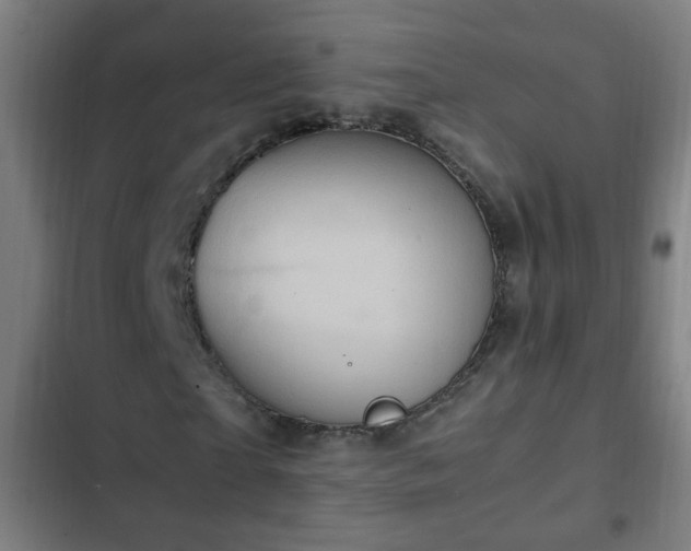 X0000103130865200808291314