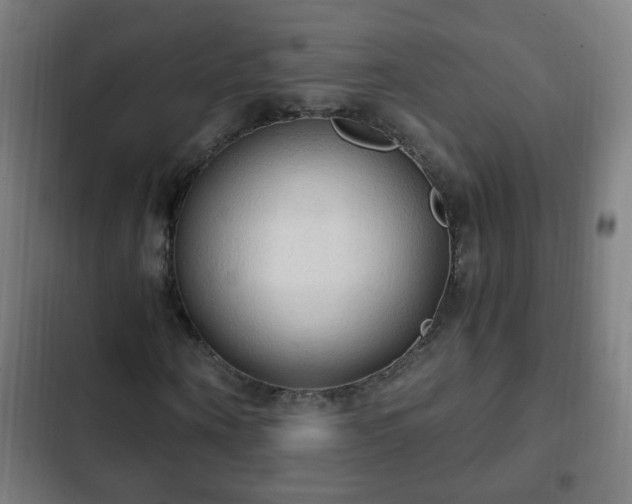 X0000103130866200808291314