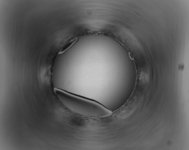 X0000103130868200808291314