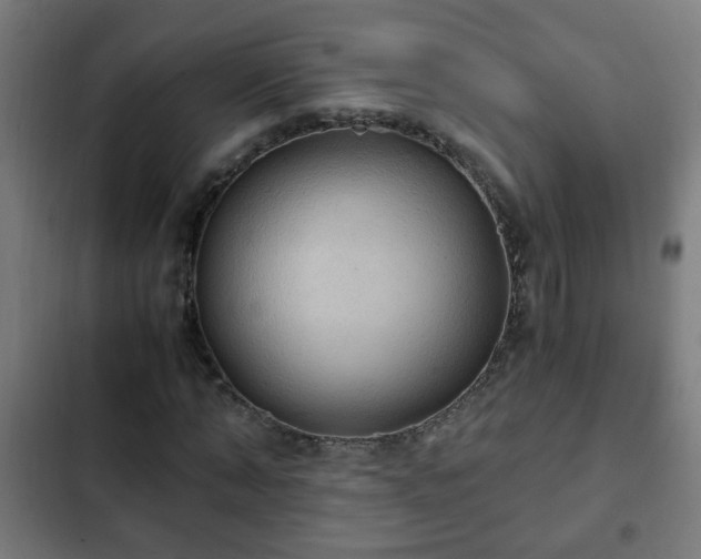 X0000103130870200808291314