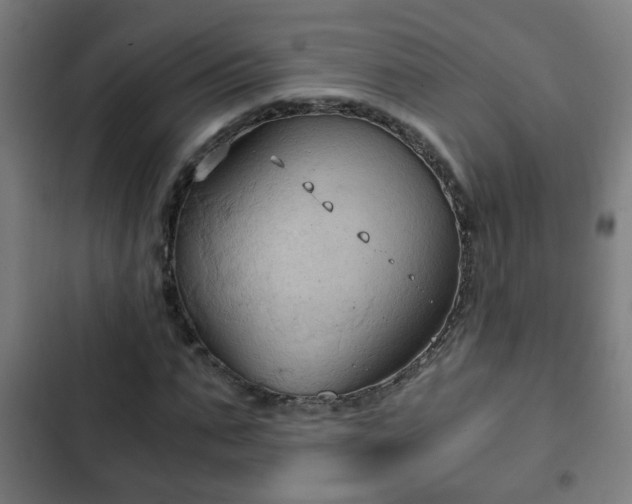 X0000103130871200808291314