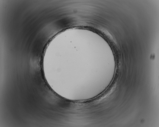 X0000103130873200808291313