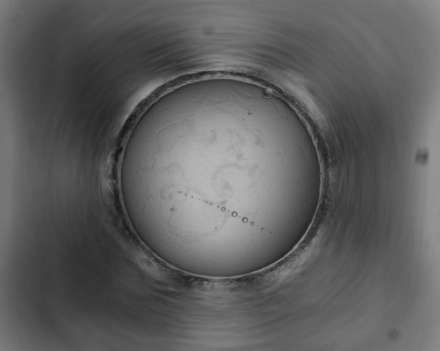 X0000103130875200808291313