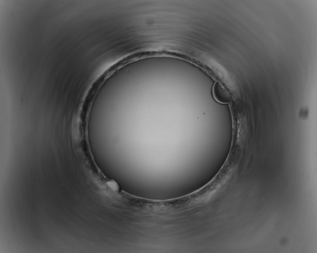X0000103130876200808291313
