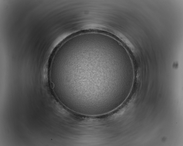 X0000103130877200808291313