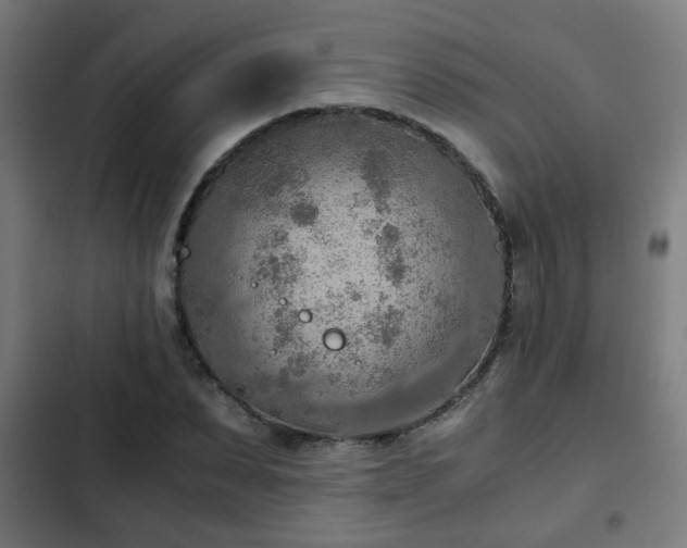 X0000103130879200808291313