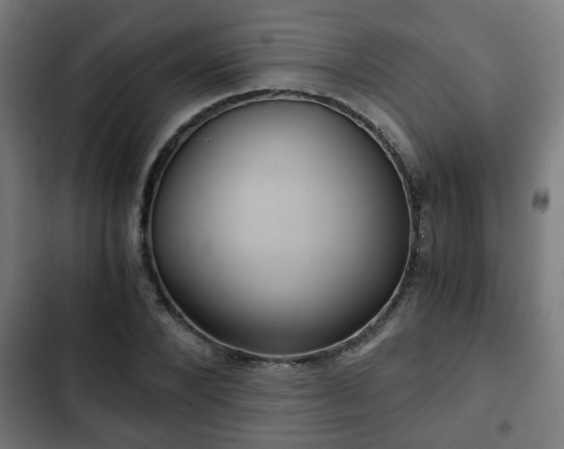 X0000103130880200808291313