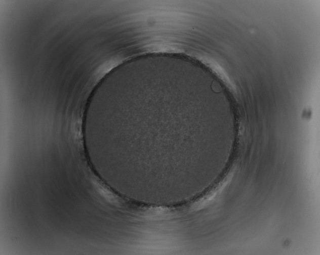X0000103130881200808291313