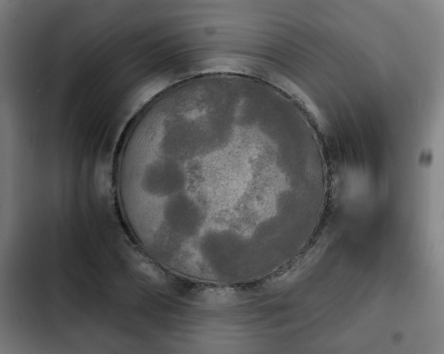 X0000103130882200808291313