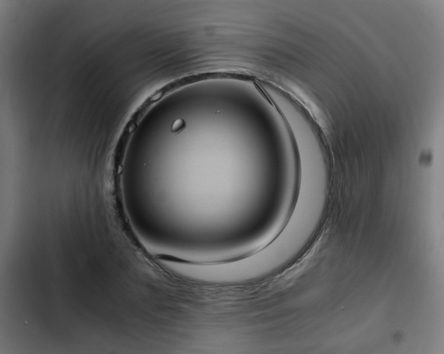 X0000103130883200808291313