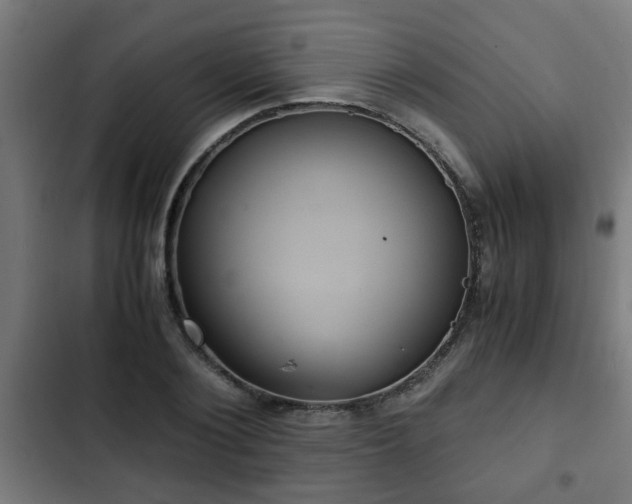 X0000103130884200808291313