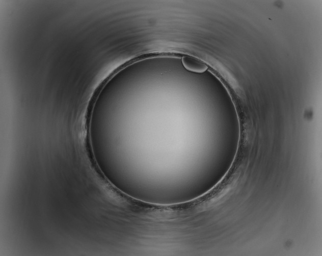X0000103130885200808291313