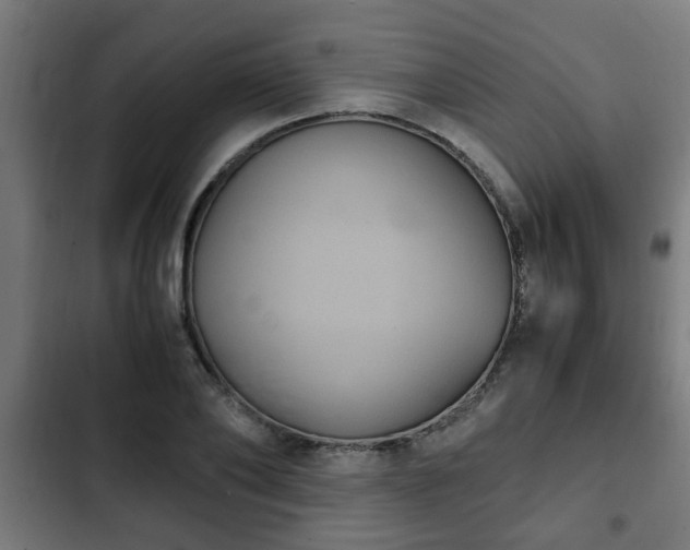 X0000103130886200808291313