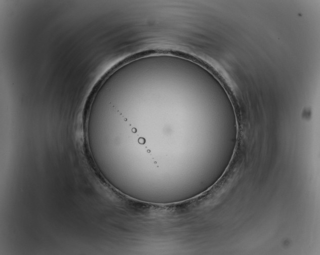 X0000103130887200808291313