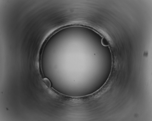 X0000103130888200808291313