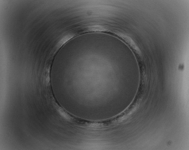 X0000103130889200808291313