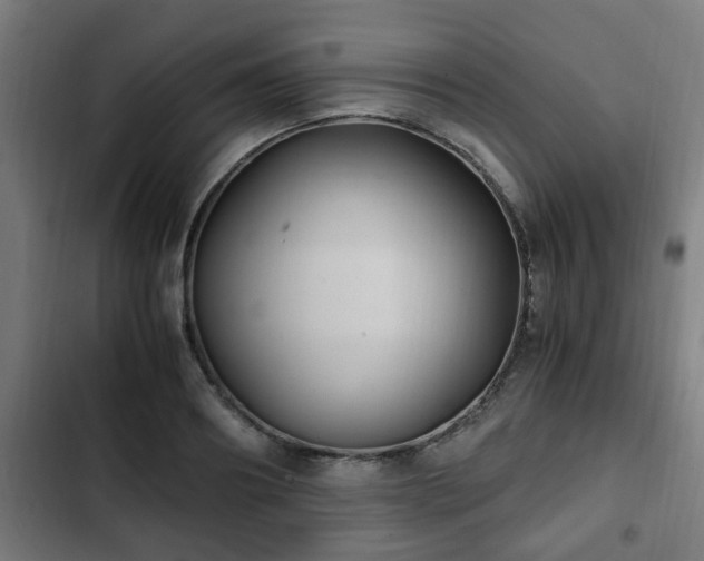 X0000103130890200808291313