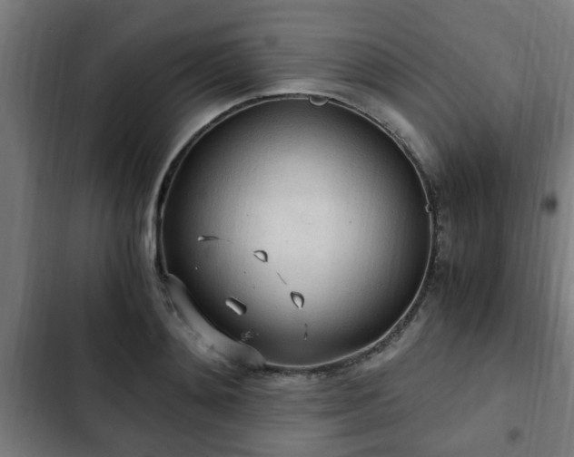 X0000103130892200808291313