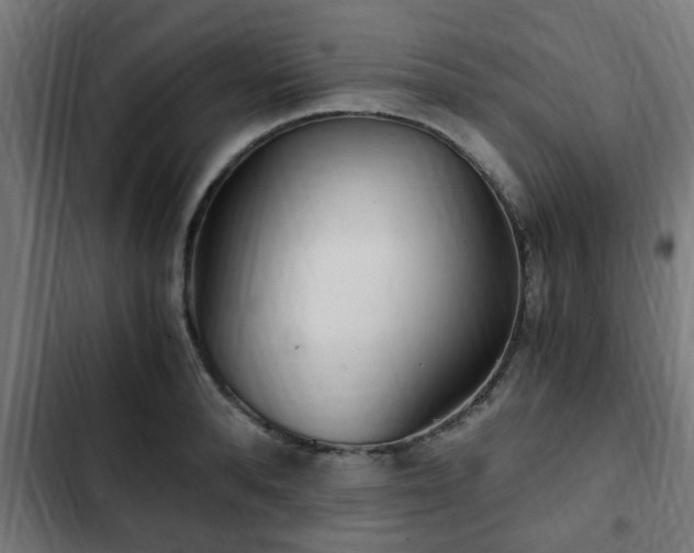 X0000103130896200808291313