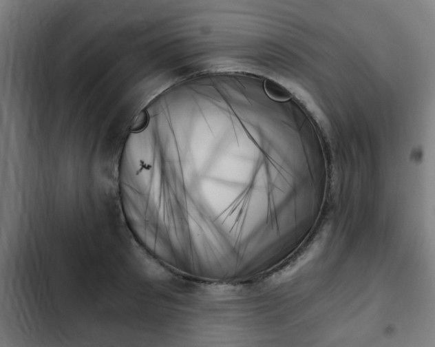X0000103130897200808291313