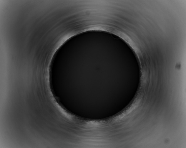 X0000103130898200808291313