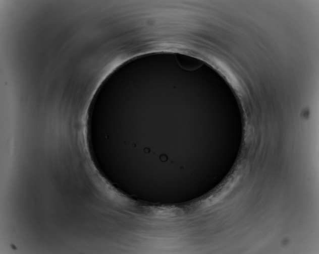 X0000103130899200808291313