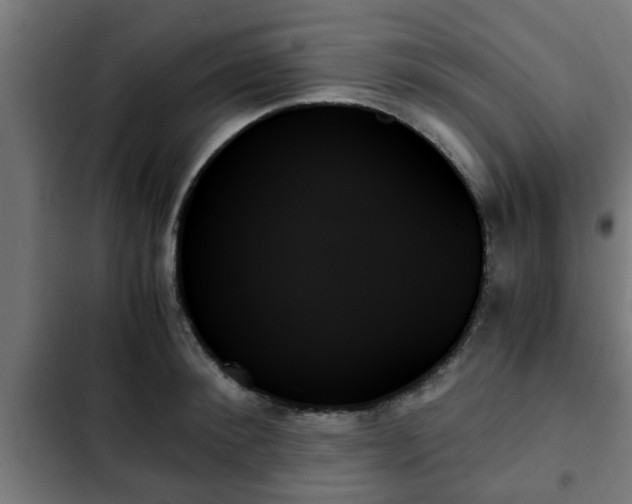 X0000103130900200808291313