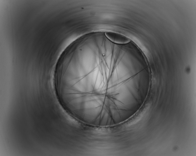 X0000103130901200808291313