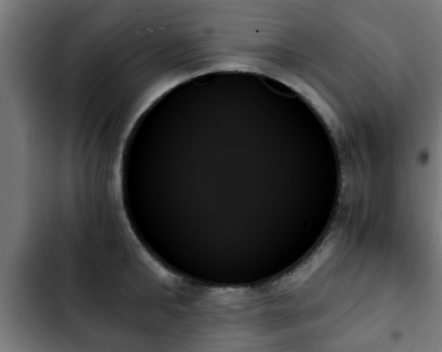 X0000103130902200808291313