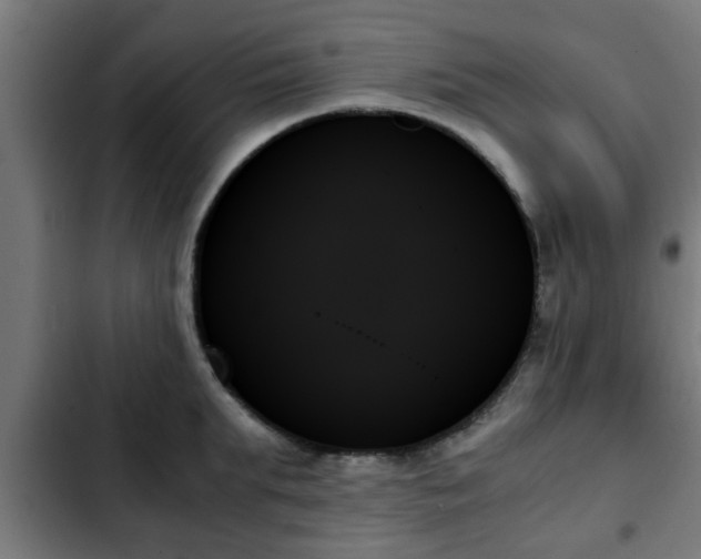 X0000103130903200808291313