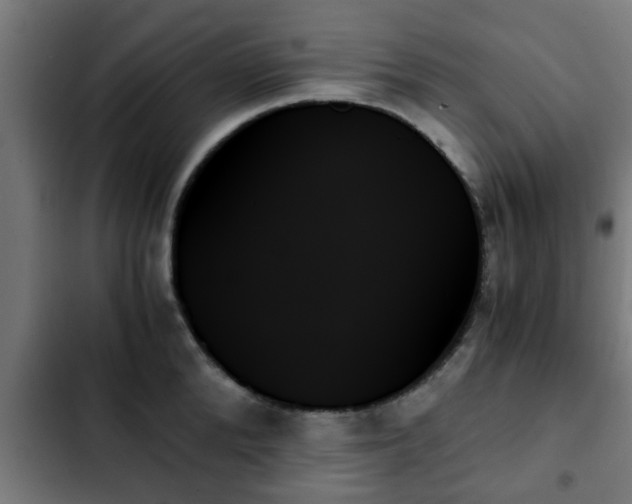 X0000103130904200808291313