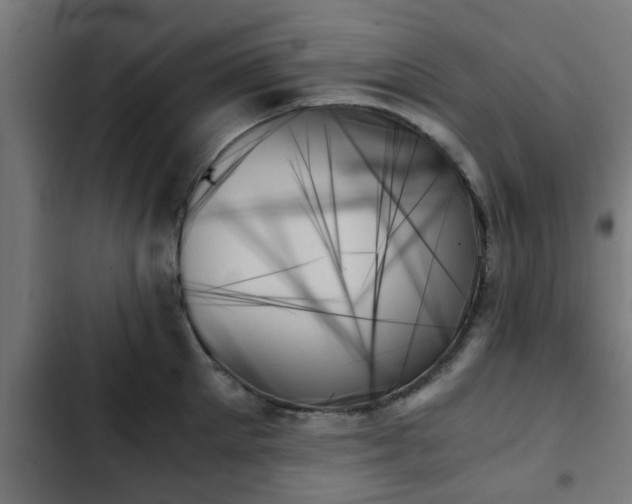 X0000103130905200808291313