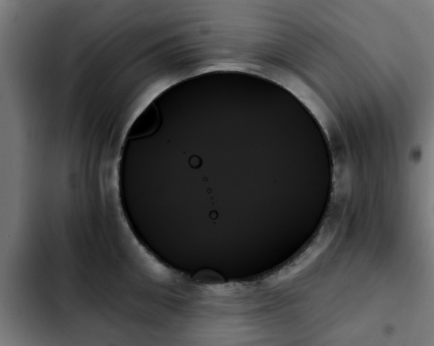 X0000103130906200808291313