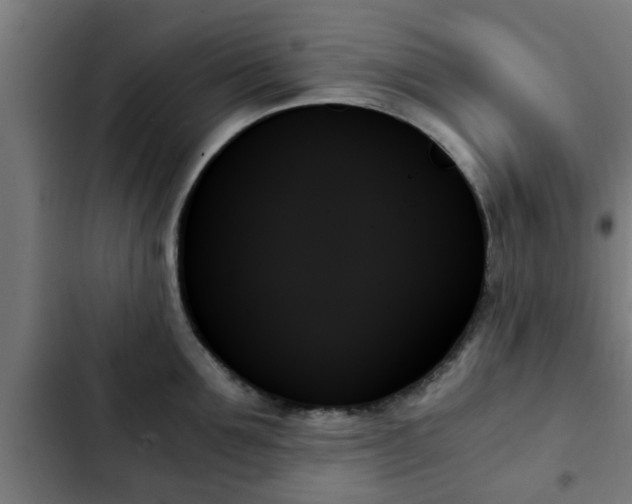 X0000103130907200808291313