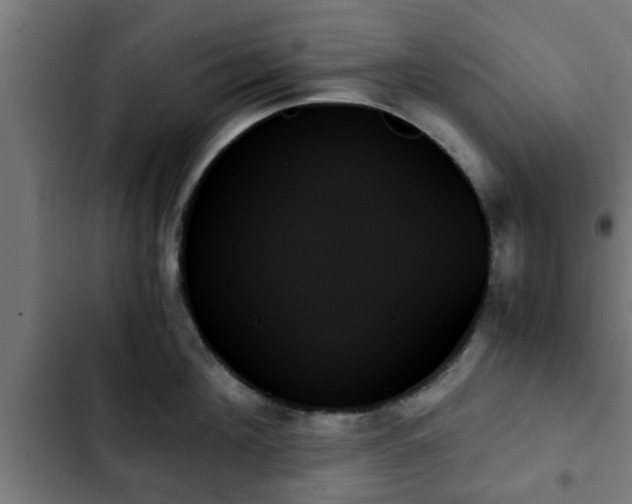 X0000103130908200808291313