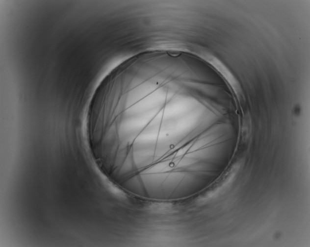 X0000103130909200808291313