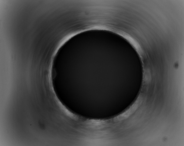 X0000103130910200808291313