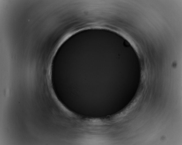 X0000103130911200808291313