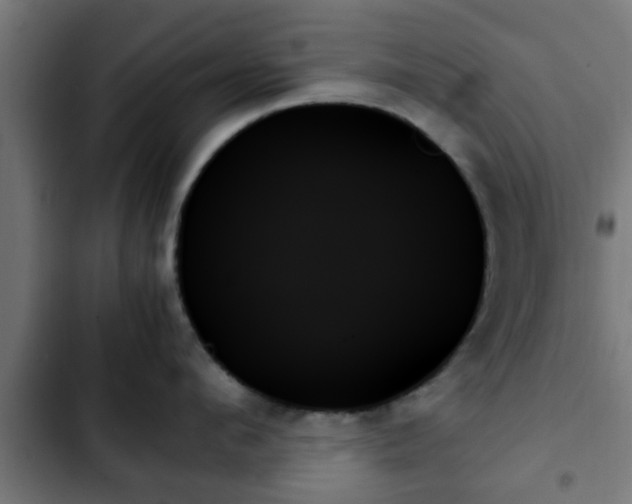 X0000103130912200808291313